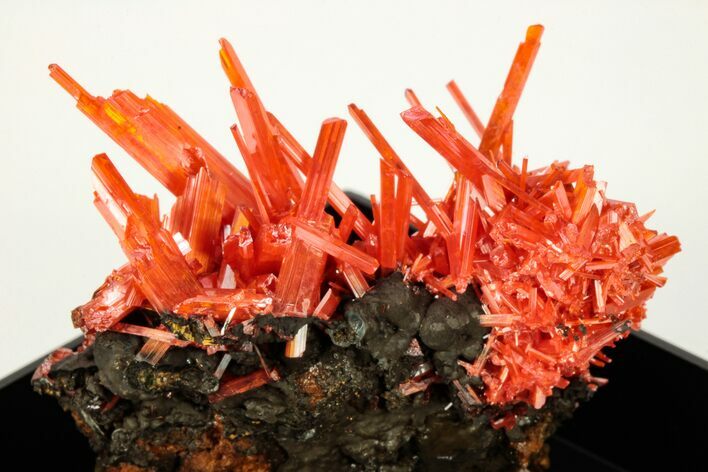 Bright Red-Orange Crocoite Crystal Cluster - Tasmania #206964